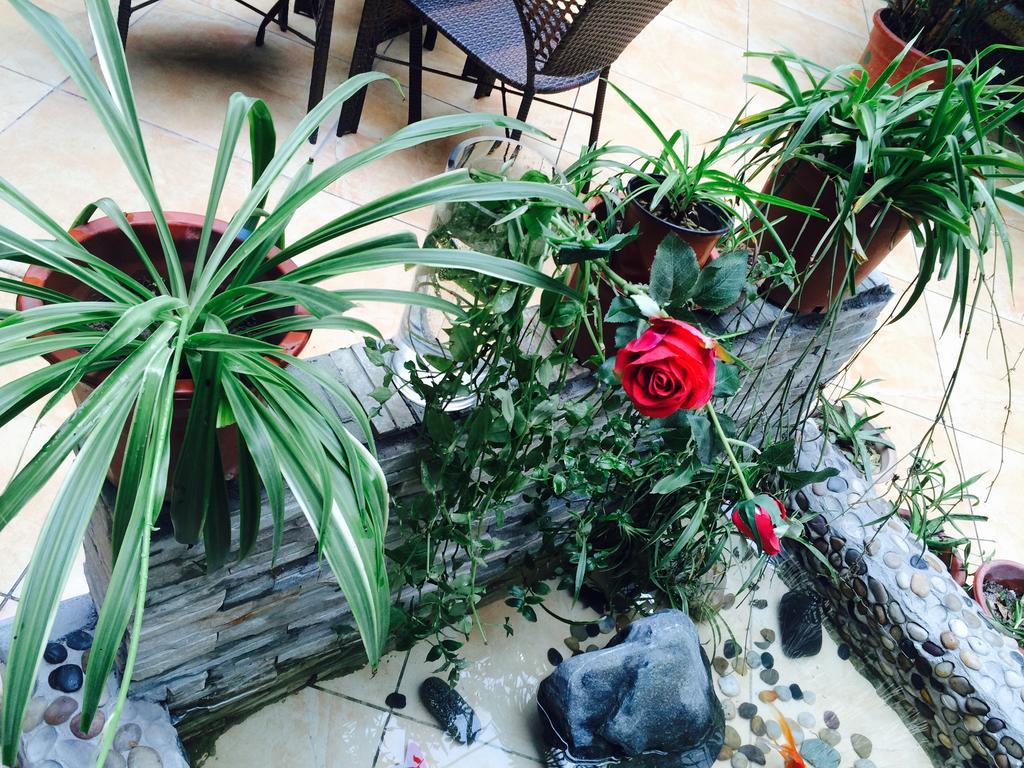 Xi'An Rainbow Youth Hotel מראה חיצוני תמונה